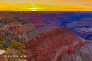 1503 _Grand Canyon _1198