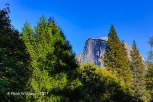 1210 _Yosemite _2780